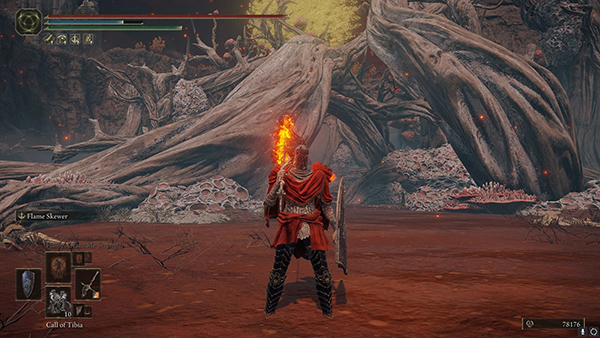 《艾爾登法環(huán)》完全免疫護(hù)身符MOD