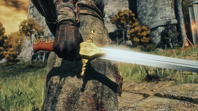 《艾爾登法環》鳶尾劍替換闊劍MOD