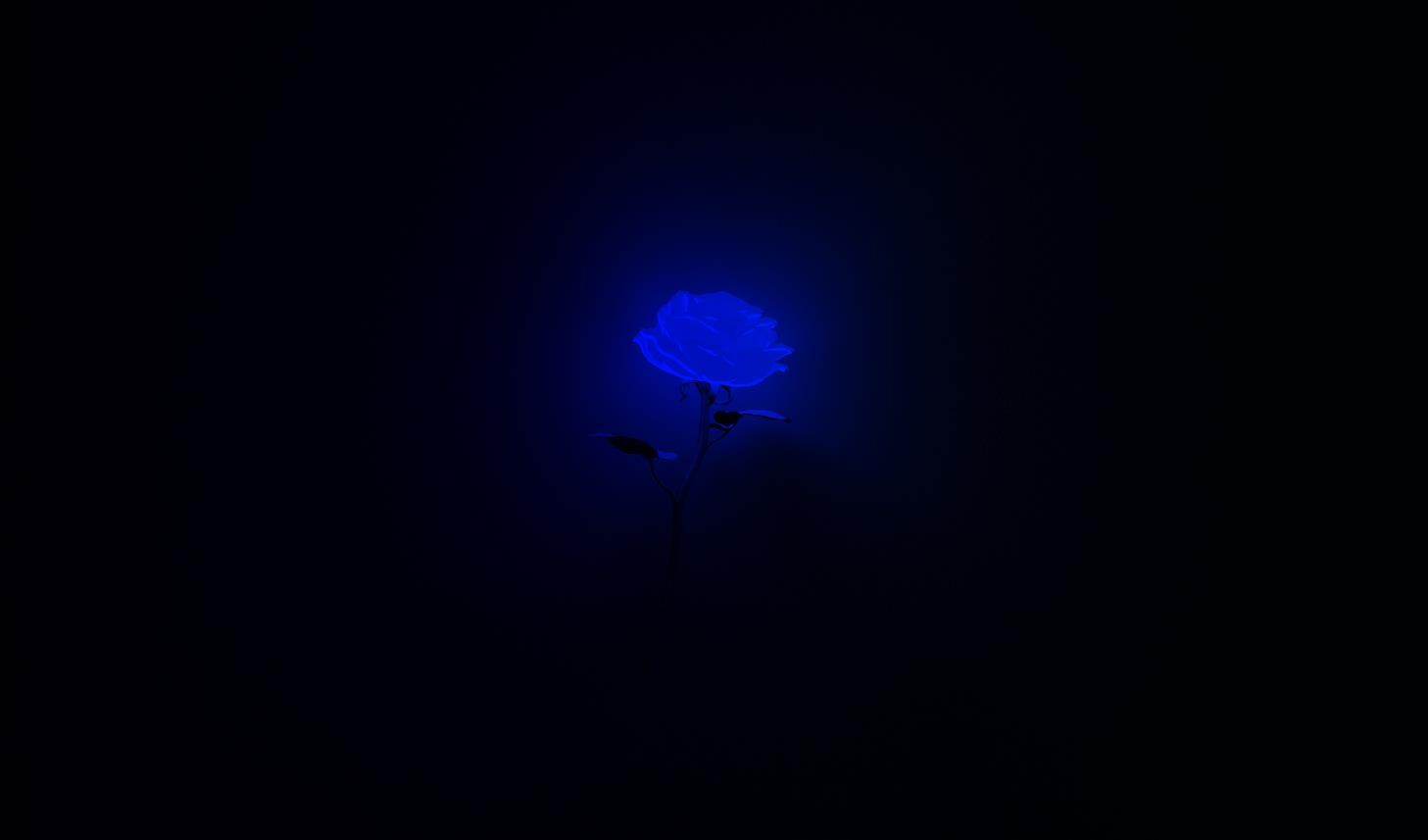 《Wallpaper Engine》RGB變色Rose動態壁紙