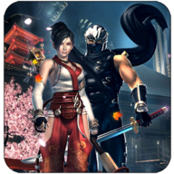 超級英雄忍者功夫格斗