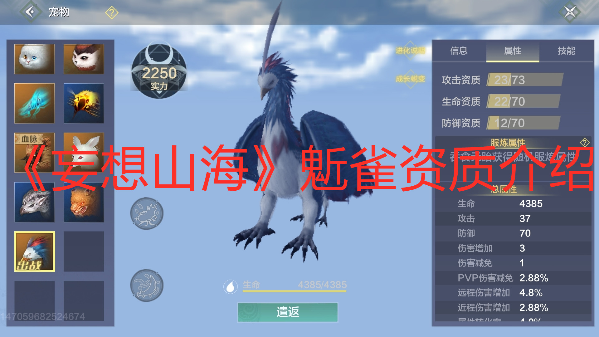 《妄想山?！肤o雀資質介紹