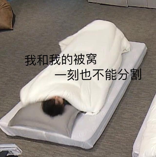 蔡徐坤鉆被窩表情包