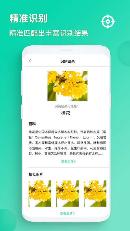 超強(qiáng)識(shí)別