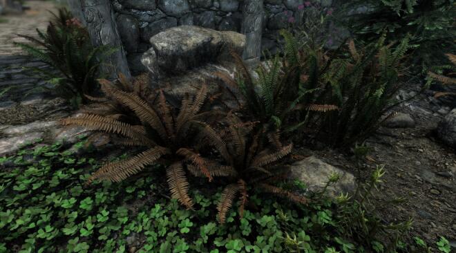 《上古卷軸5：天際重制版》照片級真實3D劍蕨MOD