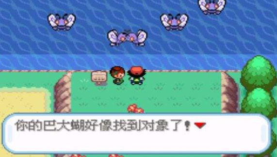 口袋妖怪圣灰