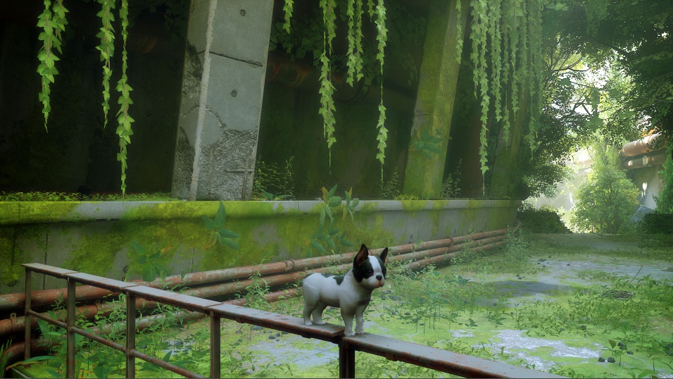 《迷失Stray》可愛小狗替換小貓MOD
