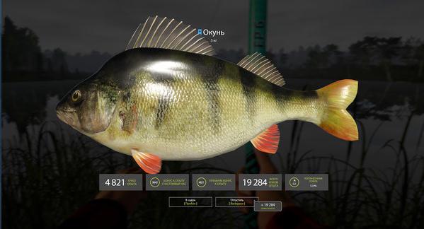 俄羅斯釣魚4 手機版