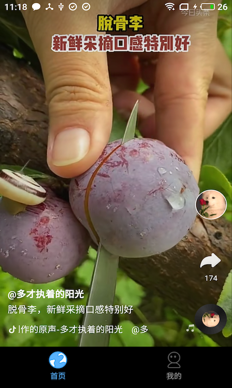 多多免費短劇