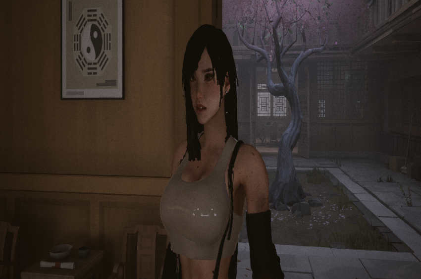 《師父》女性可扮演最終幻想性感油膩蒂法MOD