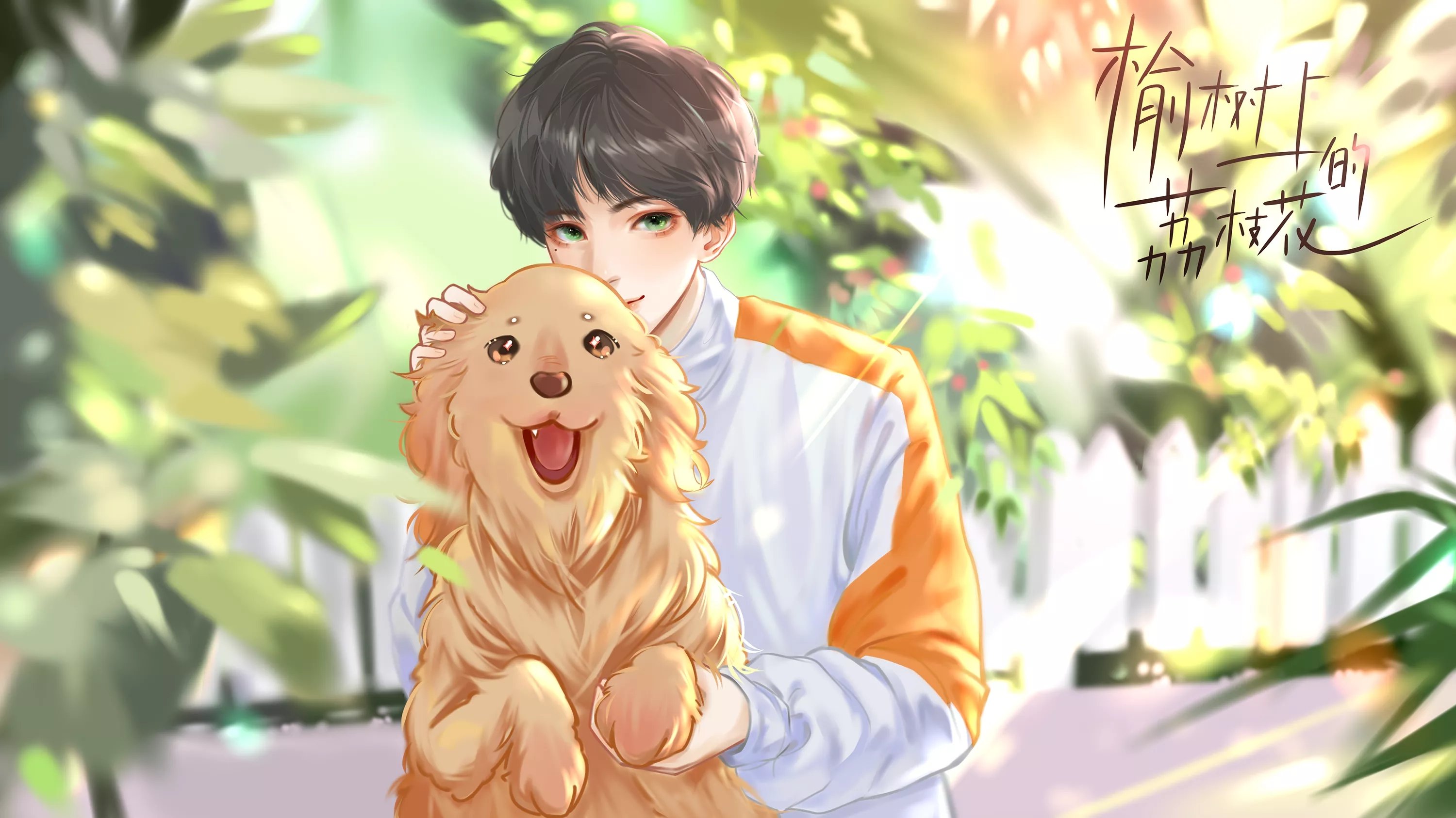 榆樹上的荔枝花破解版