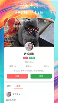 速聊交友