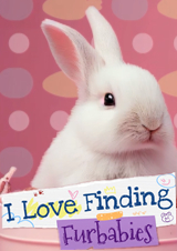 我愛找毛絨玩具