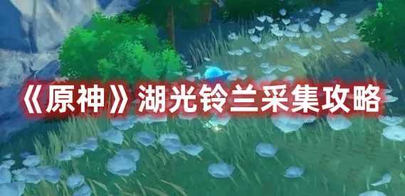 《原神》湖光鈴蘭采集攻略