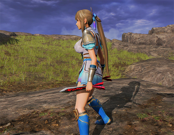 《艾爾登法環(huán)》真三國(guó)無(wú)雙9王元姬MOD[支持最新v1.12.3]