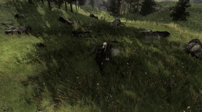 《巫師3次世代版》動(dòng)態(tài)戰(zhàn)斗視角MOD