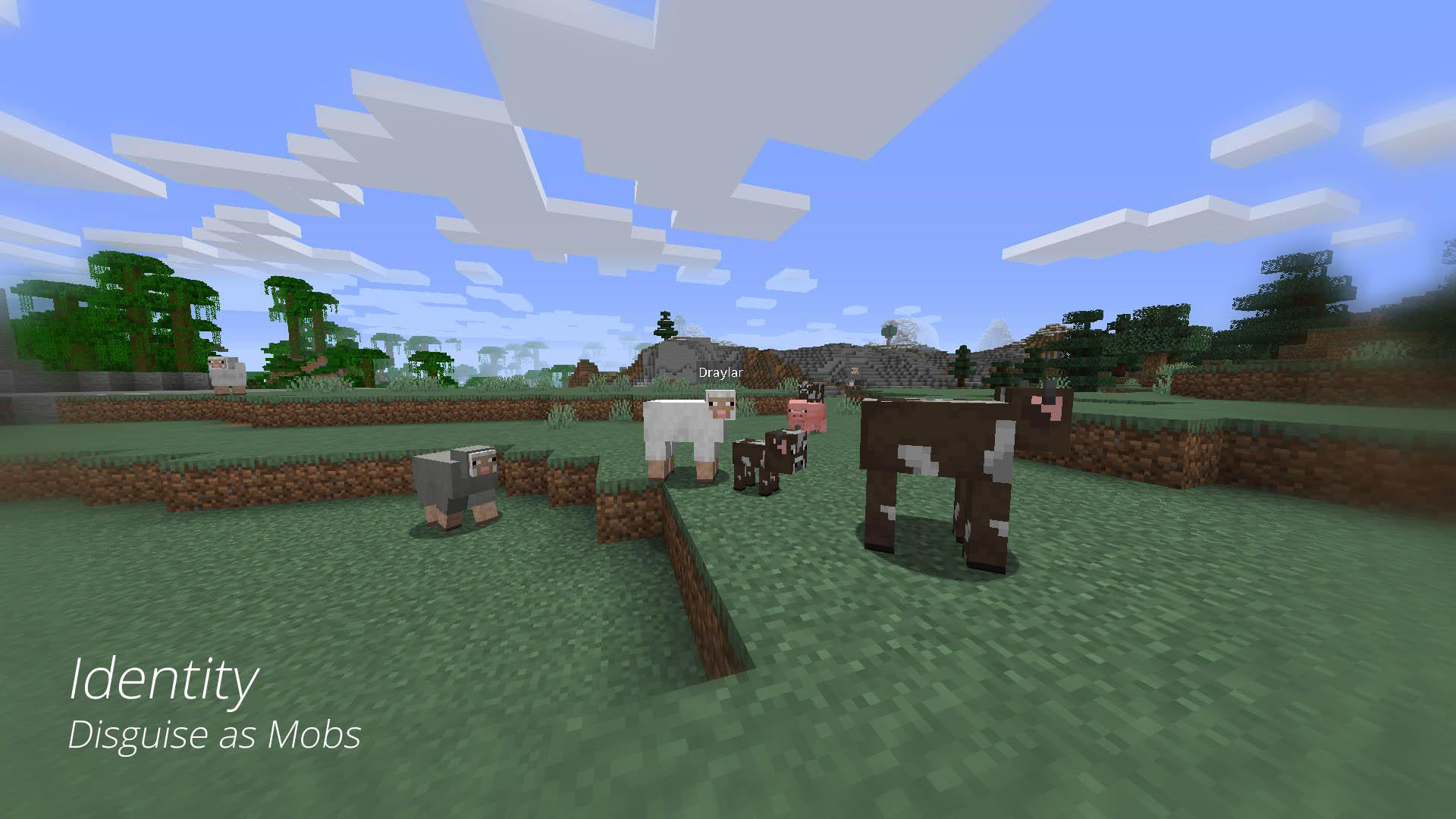 《我的世界》1.19化身MOD