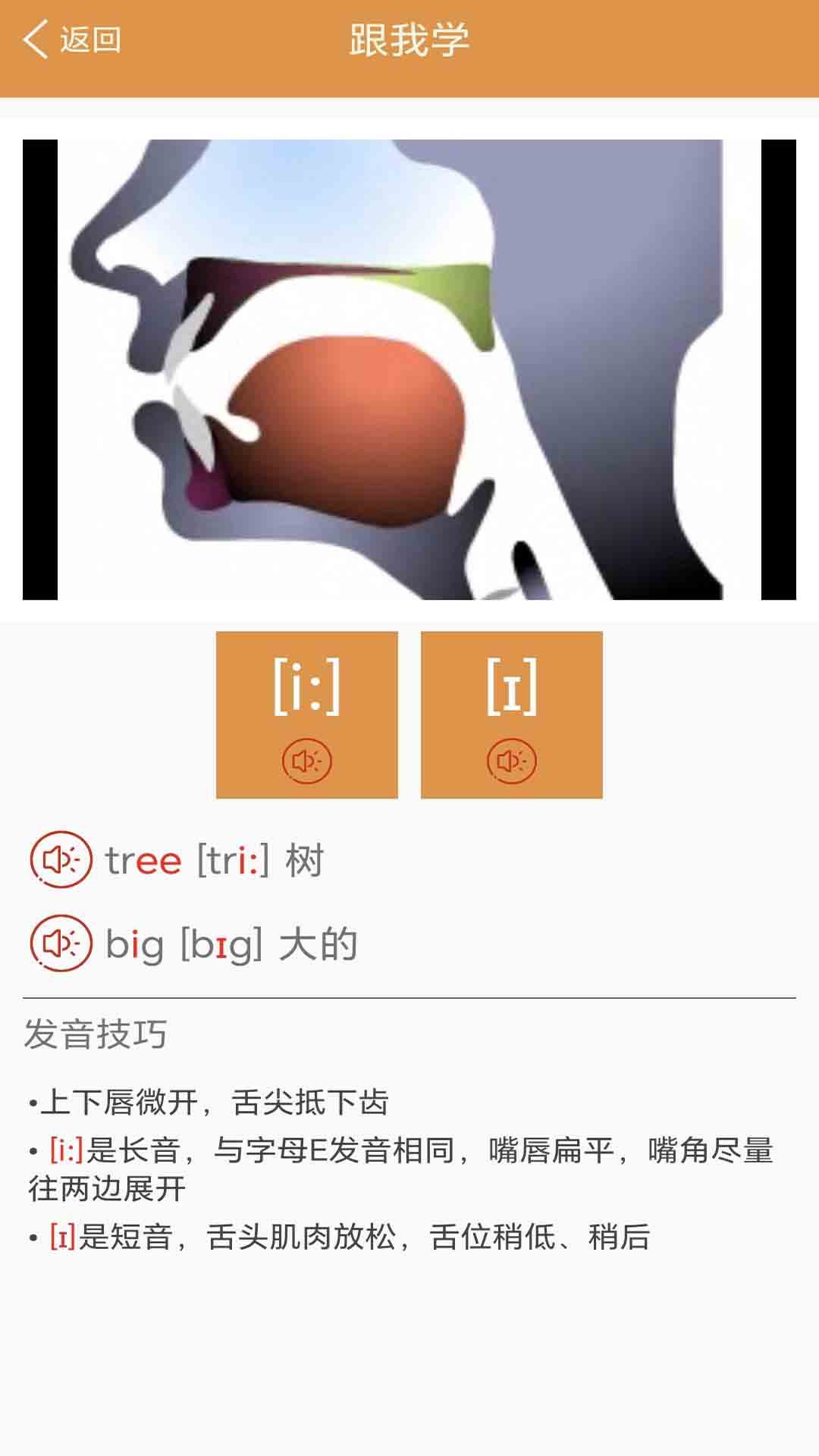 大貓英語國際音標(biāo)