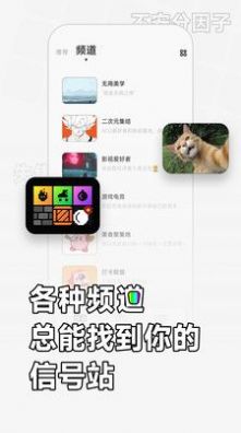 軟仆