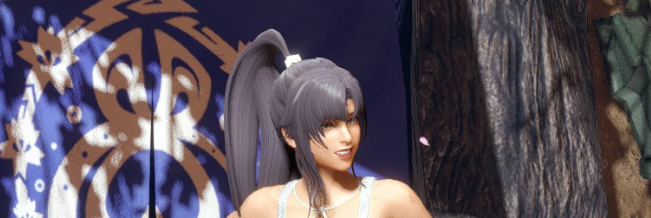《怪物獵人崛起：曙光》NBB健身內(nèi)衣MOD
