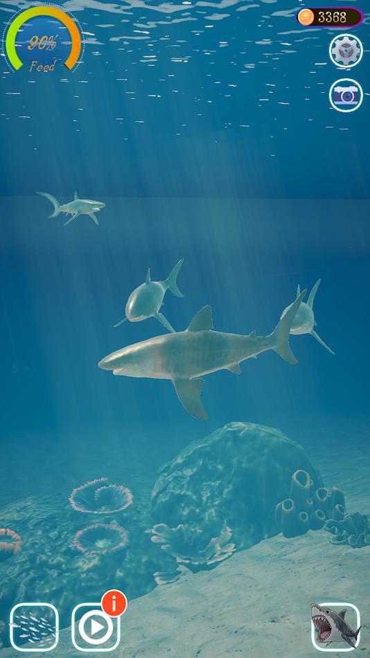 鯊魚海洋