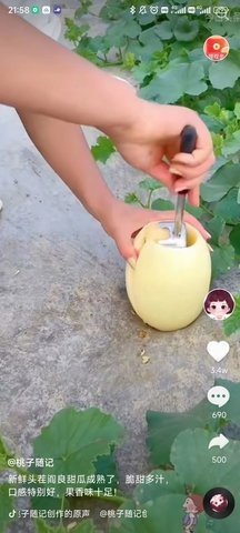 南猴短視頻紅包版