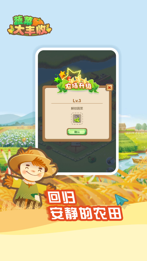 蔬菜大豐收