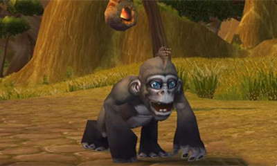 《魔獸世界》寵物蕉蕉獲取攻略