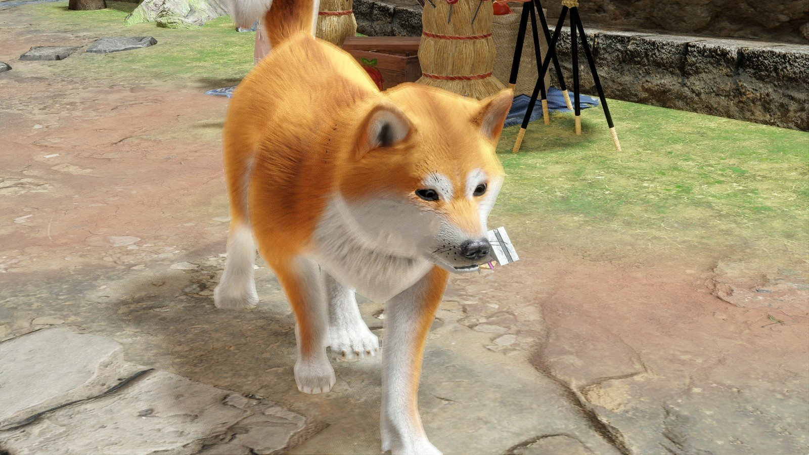 《怪物獵人：崛起》可愛柴犬MOD