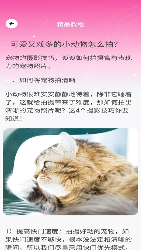 千顏秀