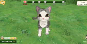 《小森生活》擼貓掉貓毛球方法