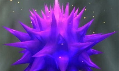 《魔獸世界》寵物明亮孢子獲取攻略