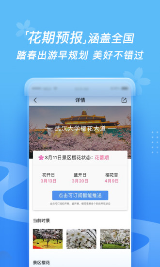 墨迹天气 极度简洁版