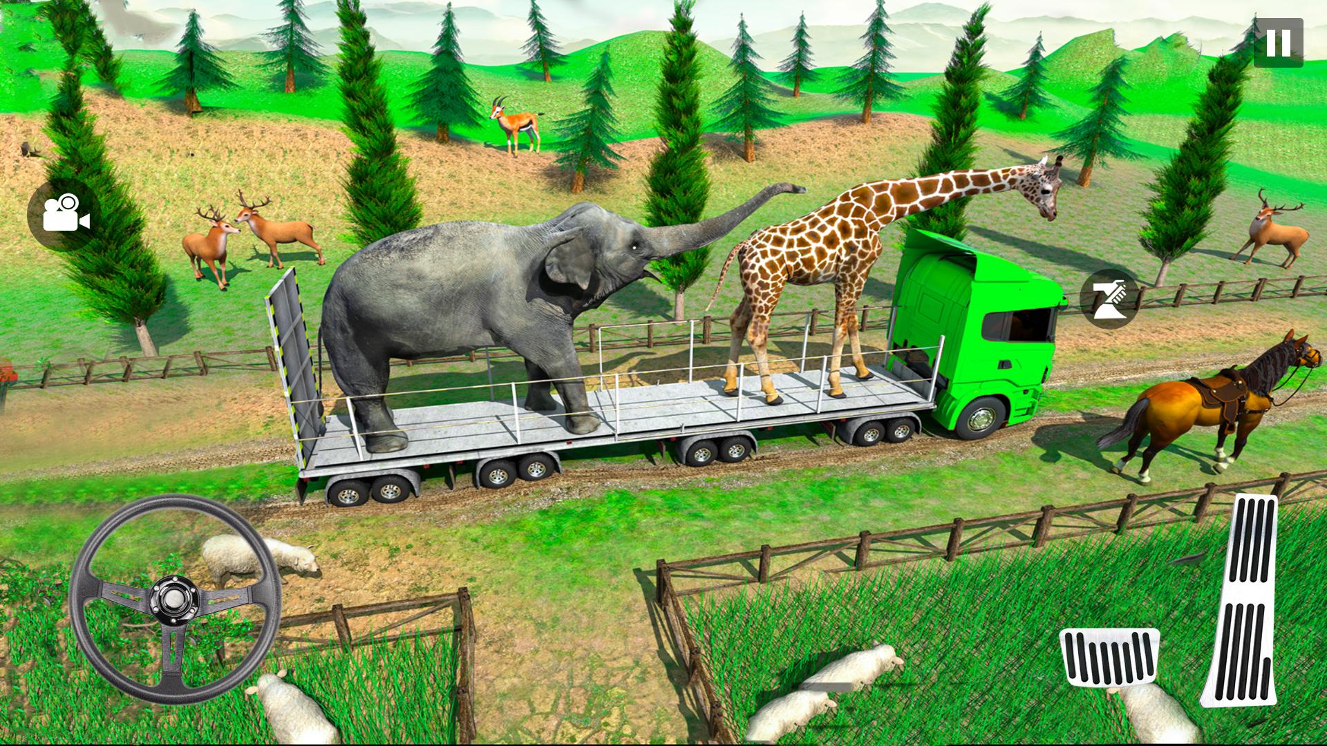 動物運輸卡車越野