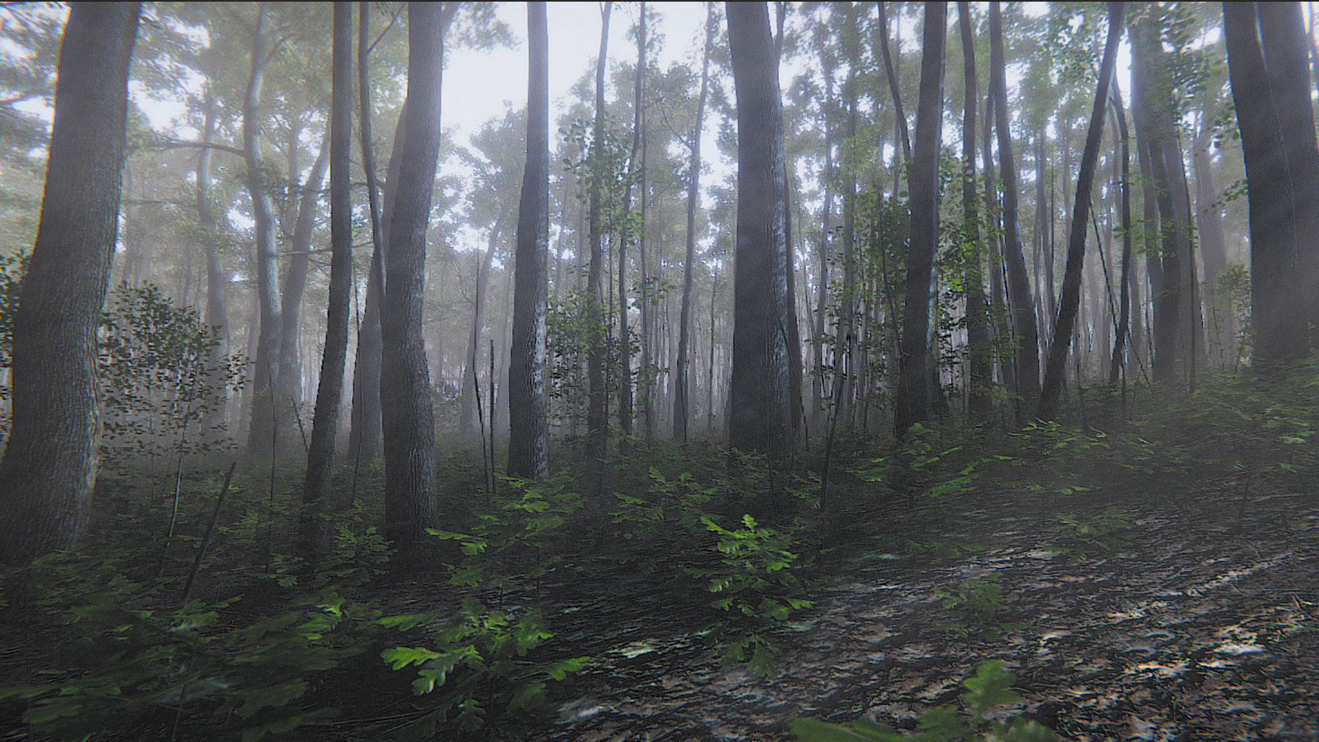 正念模擬器：ASMR冥想游戲