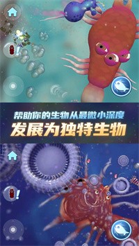 物種進化器