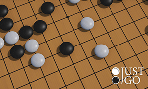 棋弈無限：圍棋