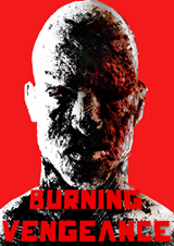 燃燒的復仇