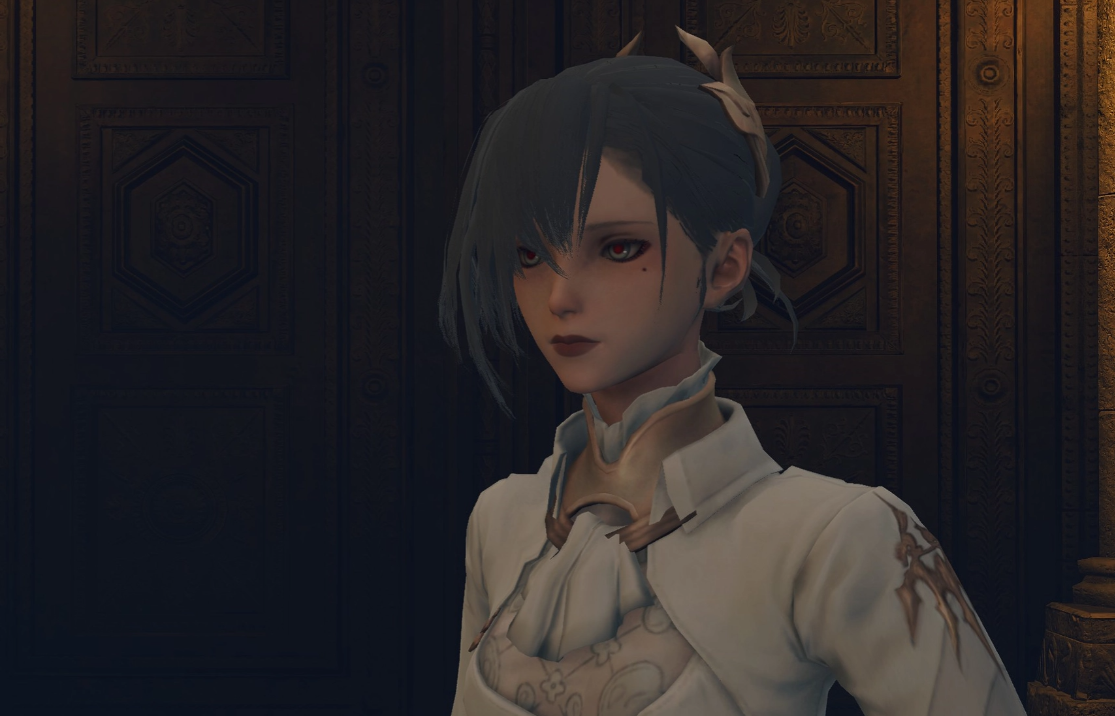 《艾爾登法環》尼爾手游御姐Akeha替換占星套MOD