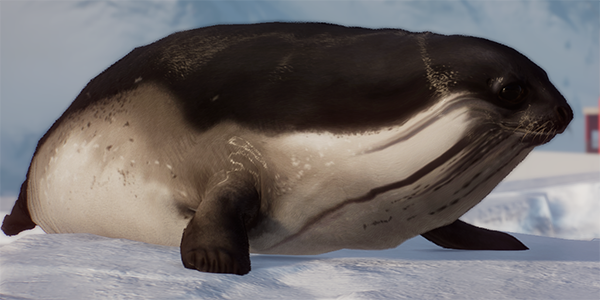 《動物園之星》增添新物種羅斯海豹MOD[支持v1.13版]