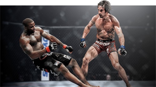 UFC2