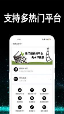 視頻水印處理