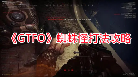 《GTFO》蜘蛛怪打法攻略
