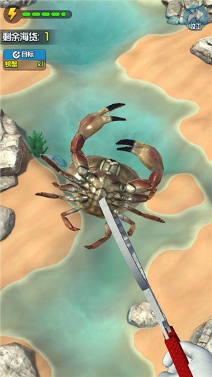 趕海王