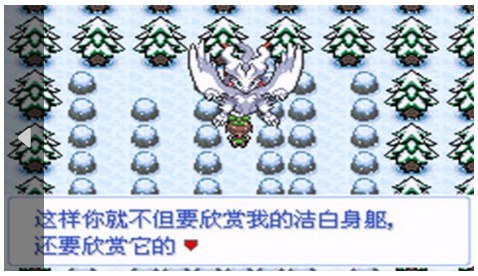 口袋妖怪雪之白