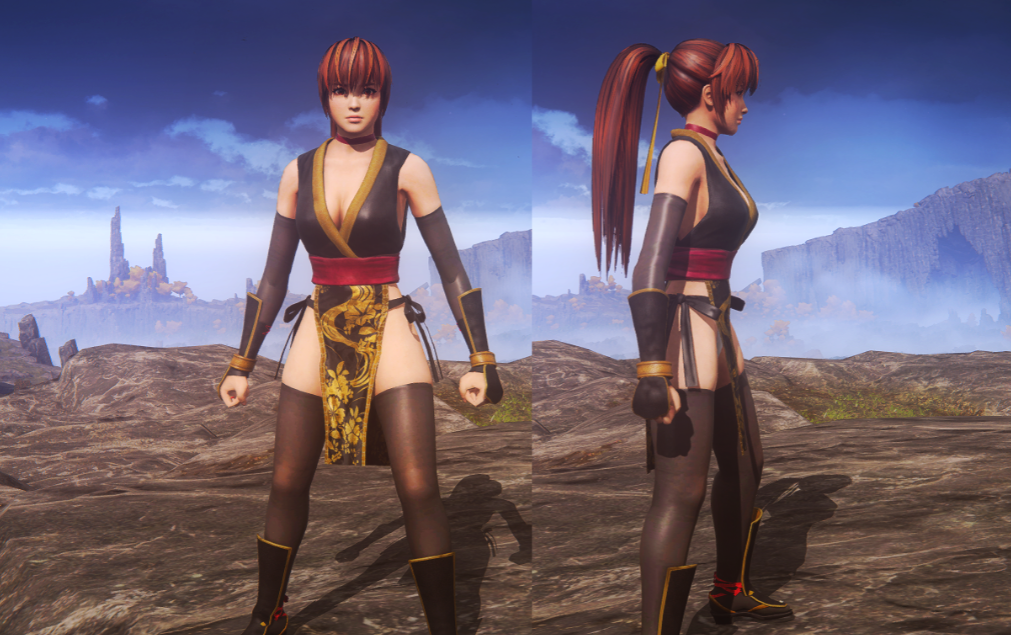 《艾爾登法環(huán)》死或生霞黑金色黑焰習武修士套MOD