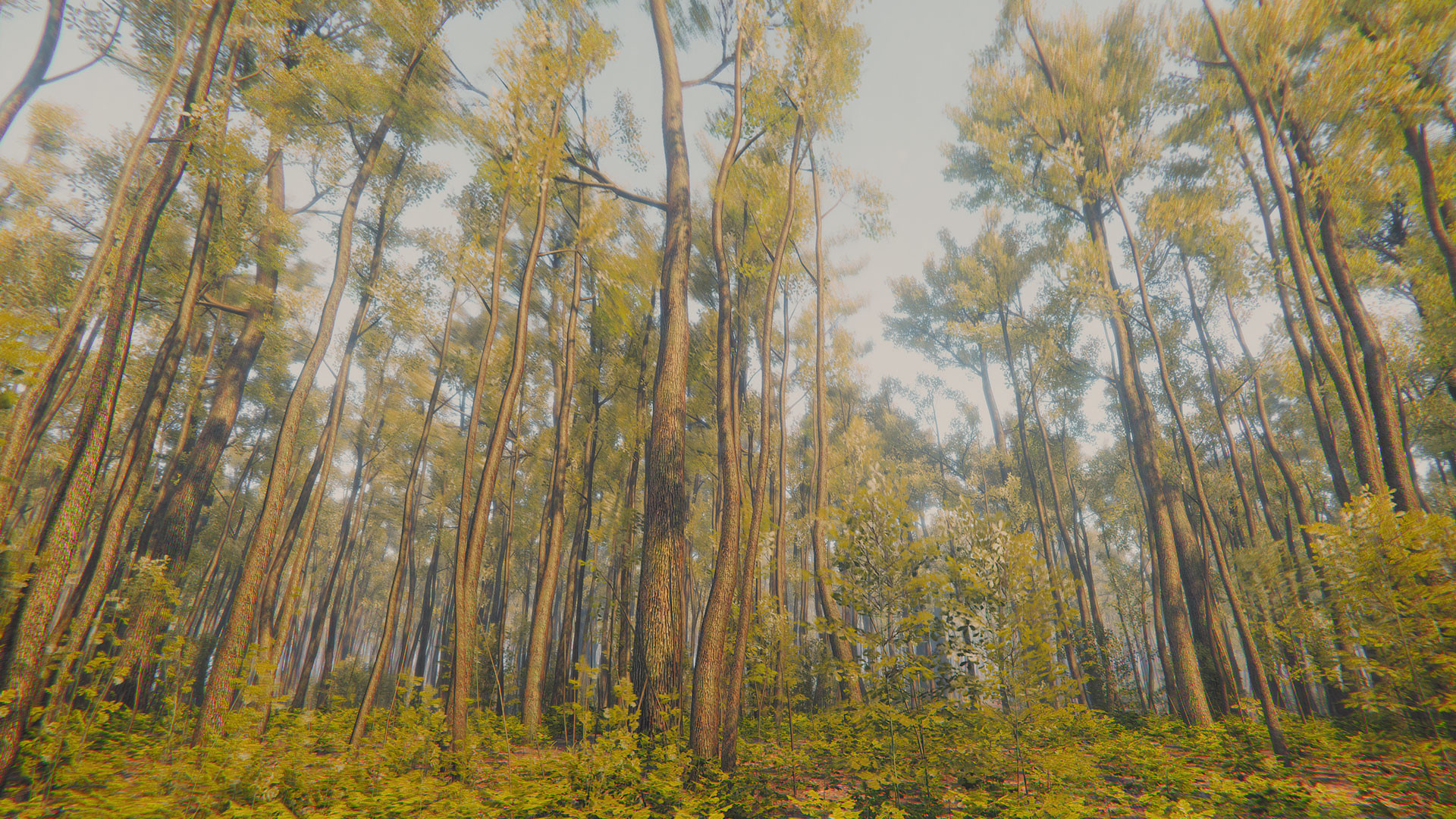 正念模擬器：ASMR冥想游戲