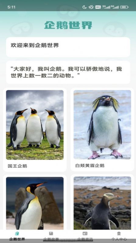 企鵝妙看