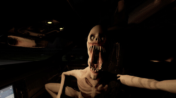 別邊開車邊發短信