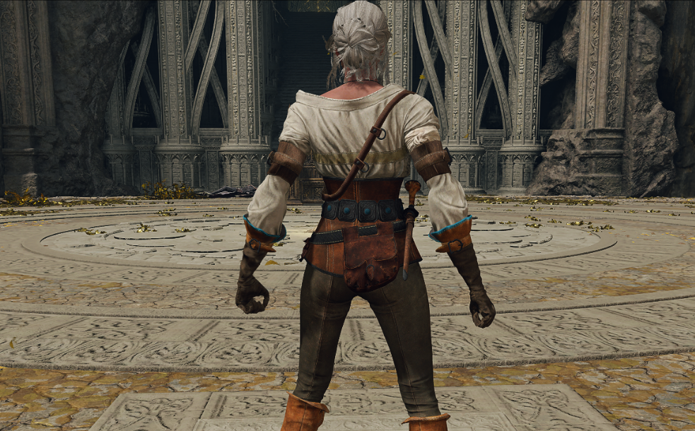 《艾爾登法環》巫師三希里替換觀星者套MOD