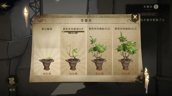 《哈利波特：魔法覺醒》冬青木盆栽位置分享